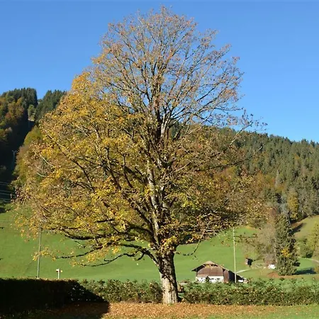Oberland Nr- 19 Appartement-fewo- Dusche Oder Bad- Wc 6-bettwohnung By Interhome Appartement Gstaad