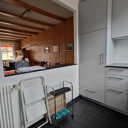 Oberland Nr- 19 Appartement-fewo- Dusche Oder Bad- Wc 6-bettwohnung By Interhome Gstaad